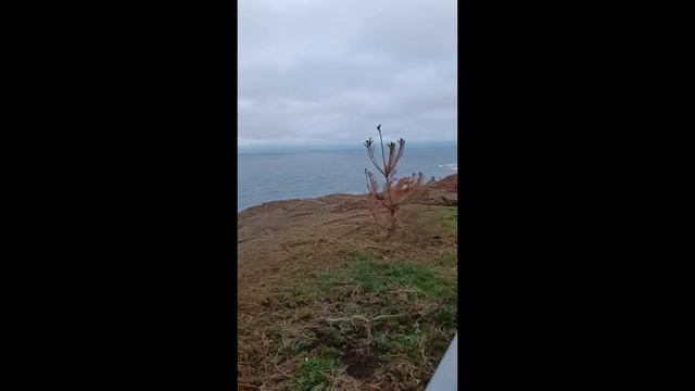 #Анапа Озеленение на коммуникации смотреть онлайн