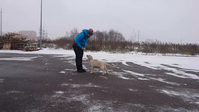 Эвалайз Импрессия фо Прадера Касадорес (Луна) - 3 мес. 17 дн. (05,11,16) смотреть онлайн