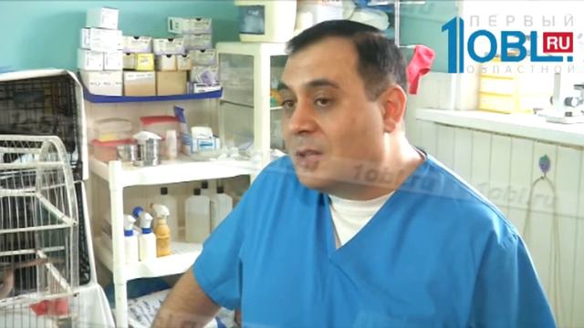 Зоозащитники спасли собаку, потерявшуюся во время пурги смотреть онлайн