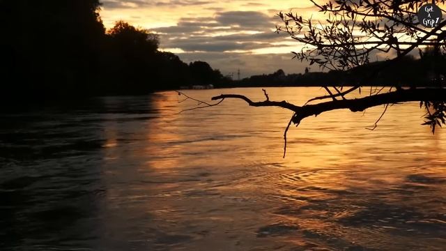 The Best Schubert Meditation Music - Relax, Meditation, Sleep, Reading, Focus, Piano