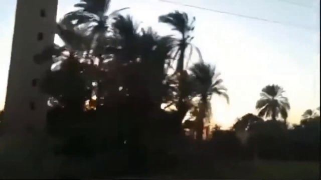 История в артефактах: цивилизация земли смотреть онлайн