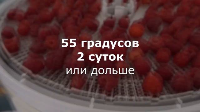 +СУХАЯ МАЛИНА смотреть онлайн