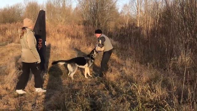Верный Друг Рудольф пробный пуск МОНО 23.11.19 смотреть онлайн