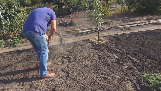 Посадка газона. Залужение междурядий. смотреть онлайн