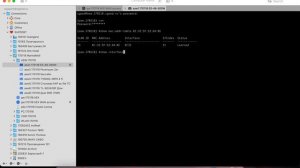 Поиск порта подключения устройства в сети на примере IP камеры