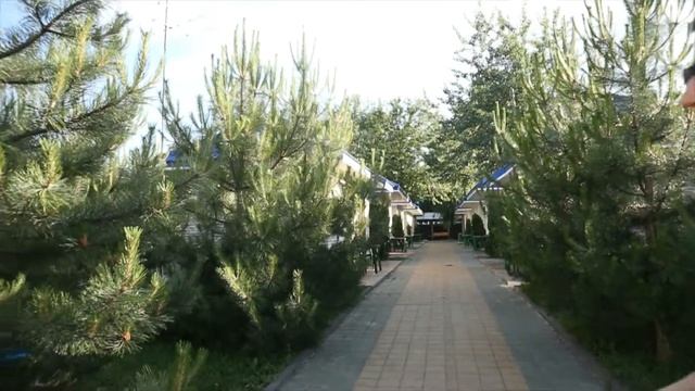 Главный городской пляж Оптимист смотреть онлайн