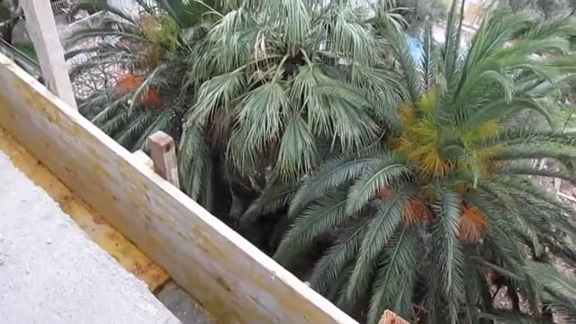 вилла Ирина, кладка расширения стены на южном фасаде 06.02.2014