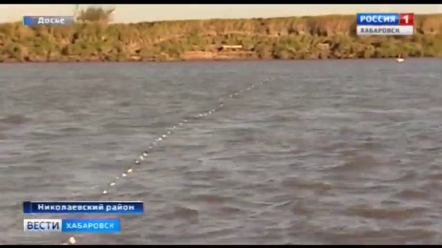 Осенняя кета в Николаевском районе смотреть онлайн