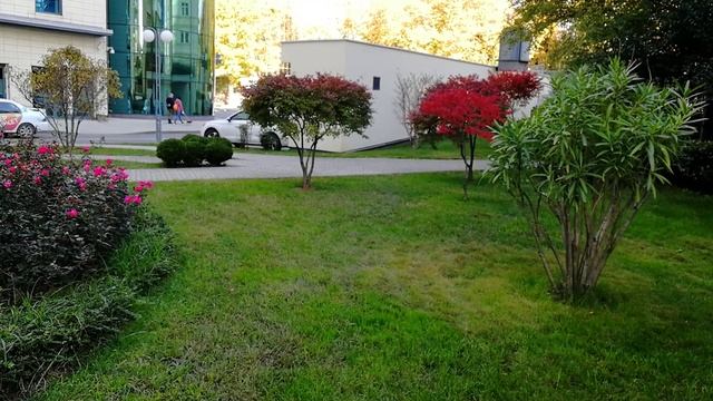 Розы осенью. смотреть онлайн