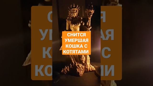 СНИТСЯ УМЕРШАЯ КОШКА С КОТЯТАМИ #ингахосроева #сон #сонник #соник #shorts #short #shortvideo смотреть онлайн