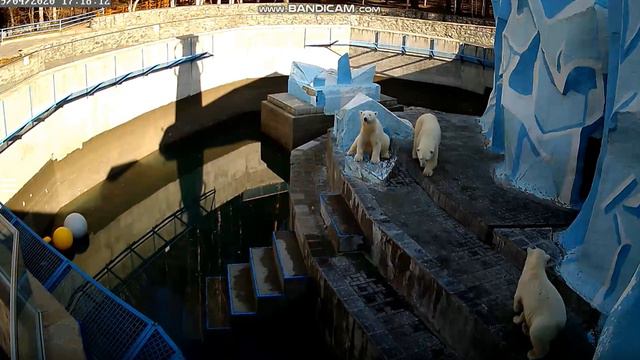 Мама, к нам кто-то приехал! 19.04.2020 смотреть онлайн