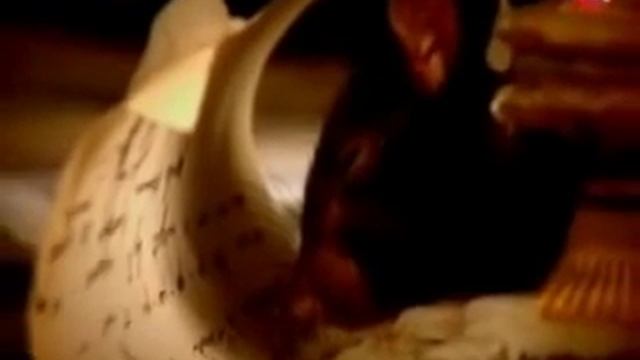 Энциклопедия - Джордж Беркли смотреть онлайн