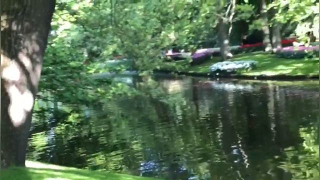 جولة رائعة في طبيعة هولندا keukenhof смотреть онлайн