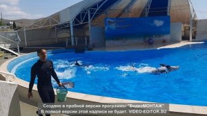 Дельфинарий