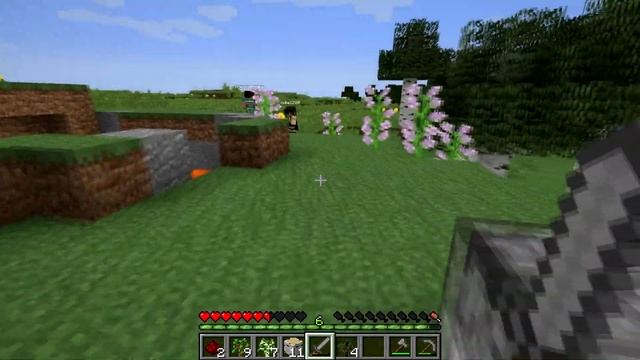 MINECRAFT FAMILY IS BACK! смотреть онлайн