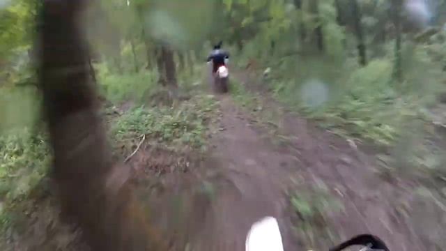 Лес в Хатунь смотреть онлайн