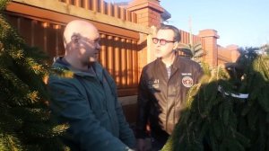 Ель Пендула, Сербская, Сербская Брунса, Глаука Пендула – сходства, различия, использование