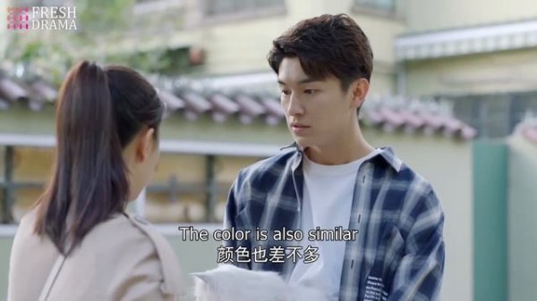 灰姑娘求倔老頭改設計稿，誰料嚇跑了他的愛貓，這下完了！