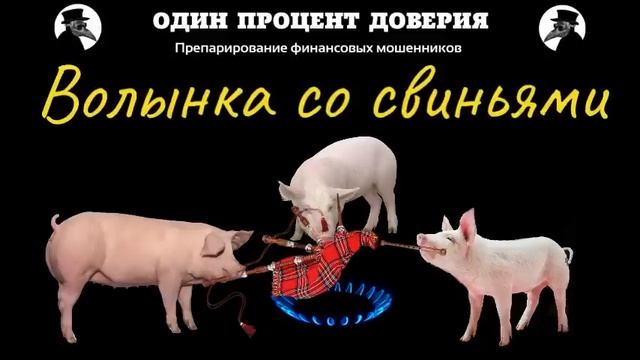 Волынка со свиньями смотреть онлайн