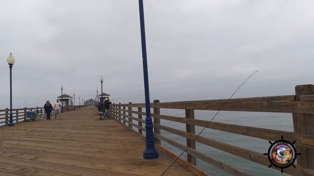 BLOOD WORMS FISHBITES! Spotfin croakers #sandiegofishing oceanside pier fishing смотреть онлайн
