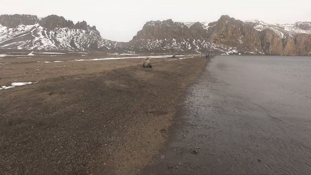 прогулка по Десепшену летом смотреть онлайн