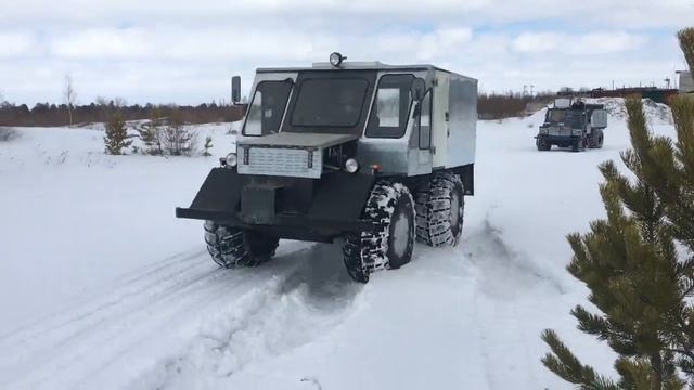 Самодельные вездеходы   из Радужного    Шрек, Бегемот и Дракон