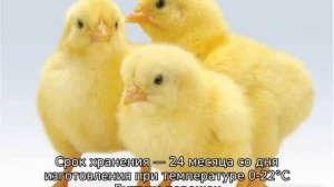 Дитрим для цыплят бройлеров