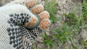 Омский коп или находки Великого Шелкового пути