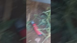 цвет провода на датчик температуры наружнего воздуха калина 2012г.в