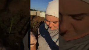 Петух не кукарекает