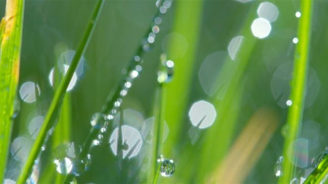 Canon 750D VIdeo Test With 18-55mm lens смотреть онлайн