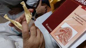 Анестезия нижней челюсти