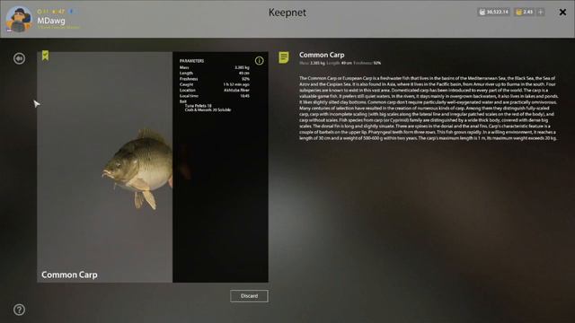 Russian Fishing 4 Akhtuba River Wild Carp Trophy Spot Info 1-27-21 смотреть онлайн