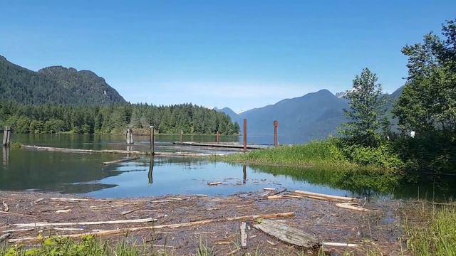 Exploring Pitt Addington Marsh Wildlife in Pitt Meadows, Canada смотреть онлайн
