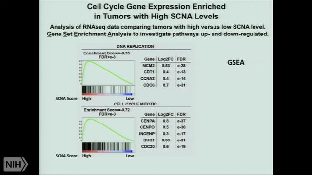 How aneuploidy drives cancer смотреть онлайн