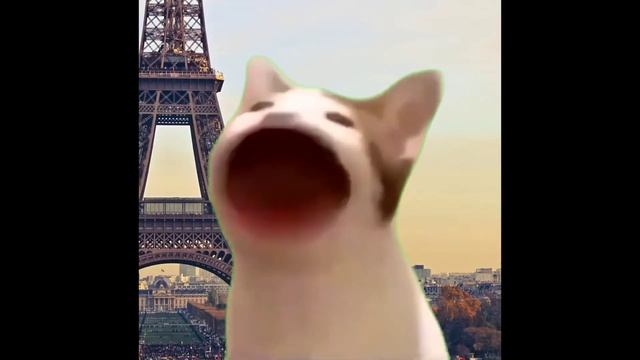 Кот флексит под Кот поёт (без регистрации) смотреть онлайн