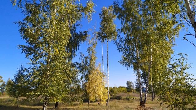 27 сентября/ВОЗДВИЖЕНИЕ/Сбываются все ЖЕЛАНИЯ/Заговор на любовь/Приметы смотреть онлайн