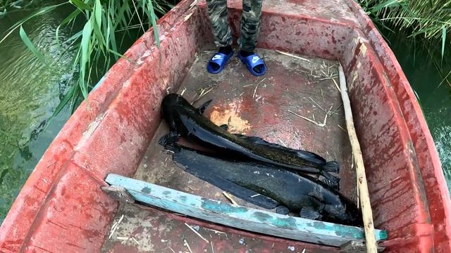 Рыбалка в Дельте Или. Открытия Сезона Третья Часть. Отличный клёв Сома . смотреть онлайн