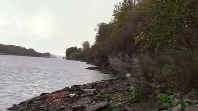 Коп Волховдыр 2015. 8 октября . У Волховской ГЭС ...... смотреть онлайн