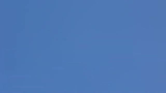 T Rex 550 helicopter flights Novosibirsk ч23 смотреть онлайн