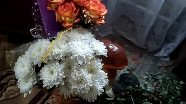 Едем в деревню поздравлять маму. Семейные посиделки. Проверка хозяйства. Жизнь семьи в деревне. смотреть онлайн