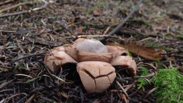 1 de noviembre de 2018 смотреть онлайн