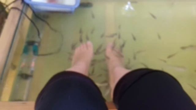 вау рыбы едят ноги!!!!! смотреть онлайн