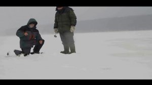 Домик Рыбака. Выпуск 2. Судак. Налим. На жерлицы. Зимой. Как ловить. Судака. Налима