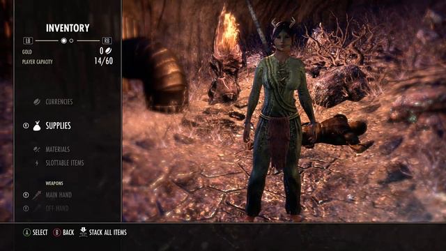 AmHashbrowns The Elder Scrolls Online Xbox Playthrough смотреть онлайн