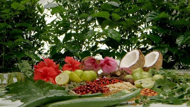 Dabur Amla Hair Repair Solutions | Amla Therapeutic For Natural Hair Growth