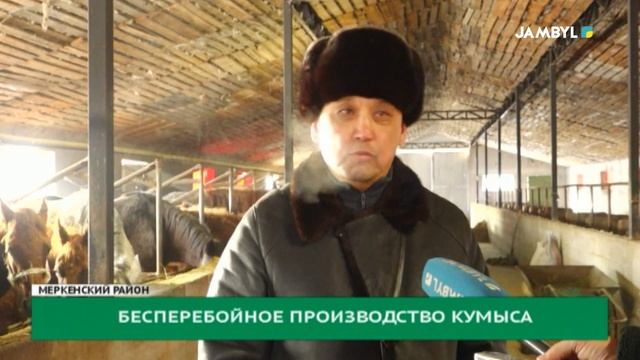 Бесперебойное производство кумыса смотреть онлайн