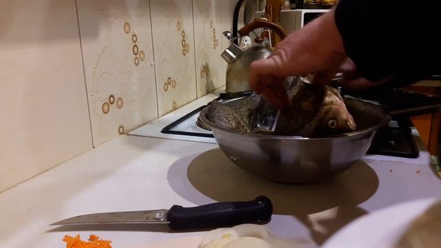 Шахматный Мир