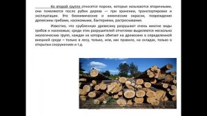 Технология оборудование лесных складов.