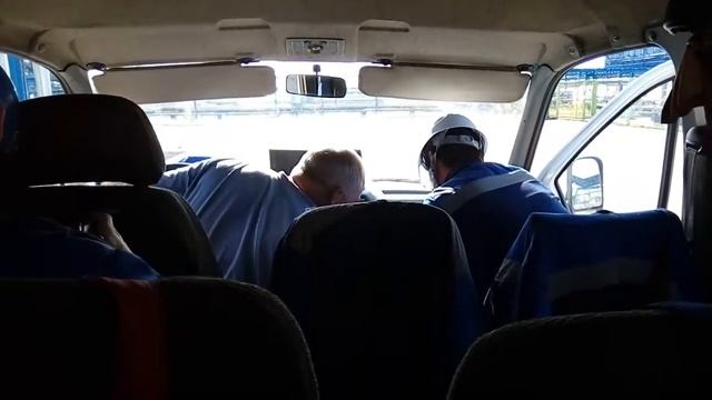 Чистка кедровых орехов смотреть онлайн